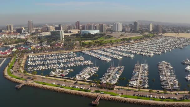 Beautiful Aerial View Mothers Beach Long Beach Los Angeles Usa — Stock Video