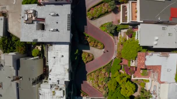 Vista Panorámica Aérea Lombard Street Una Calle Este San Francisco — Vídeos de Stock