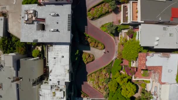 Vista Panorámica Aérea Lombard Street Una Calle Este San Francisco — Vídeo de stock