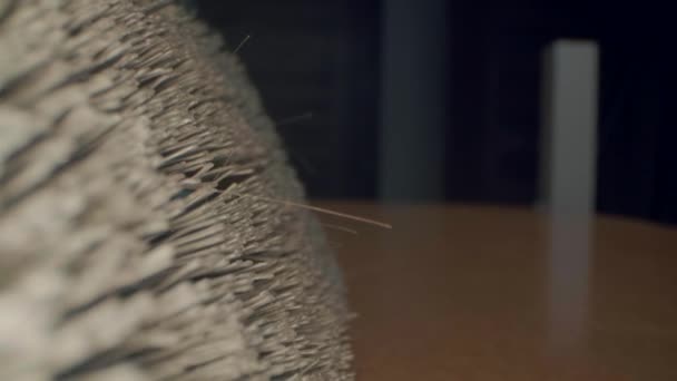 진공청소기 내부에서 수있는 더러운 진공관 매크로 — 비디오