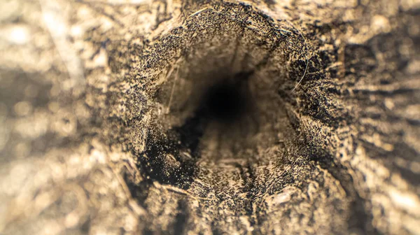 Грязный Вид Тюбик Изнутри Пылесоса — стоковое фото