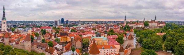 塔林是爱沙尼亚的一座中世纪城市 位于波罗的海 塔林古城的空中景观 屋顶橙色 街道狭窄 — 图库照片
