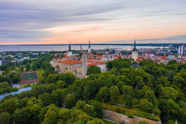 Tallinn, Estonya 'nın Baltık bölgesinde bir ortaçağ şehridir. Eski Tallinn şehrinin turuncu çatıları ve dar caddeleri var..