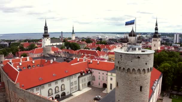 Eski Tallinn Şehrinin Üzerinde Esen Estonya Bayrağı — Stok video