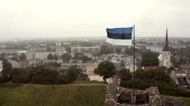 タリンの旧市街を覆う風に吹かれたエストニア国旗 — ストック動画