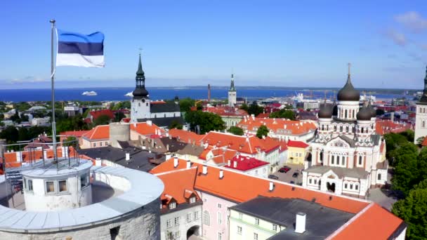 Estonya Nın Tallinn Kentindeki Uzun Hermann Kulesi Nde Estonya Bayrağı — Stok video