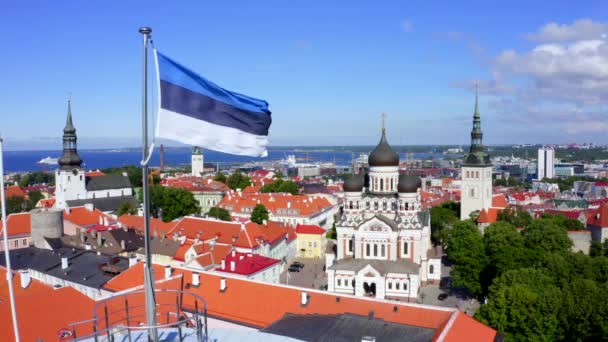 Estonya Nın Tallinn Kentindeki Uzun Hermann Kulesi Nde Estonya Bayrağı — Stok video