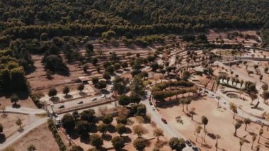 Doğal yaşam alanı Tanzanya 'da bir zürafa sürüsünün (Giraffa camelopardalis) havadan görünüşü