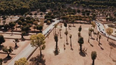 Doğal yaşam alanı Tanzanya 'da bir zürafa sürüsünün (Giraffa camelopardalis) havadan görünüşü