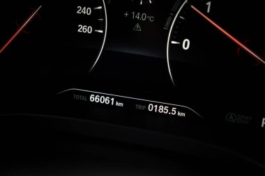 BMW X4 enstrüman kümesinin yakın görüntüsü 66.061 km mil, 185.5 km yolculuk, 14.0degC sıcaklık ve aydınlatılmış gösterge paneli detayları gösteriyor.
