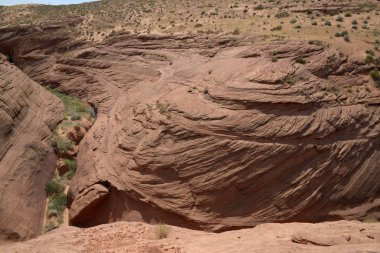 Arizona çölünde yürümek