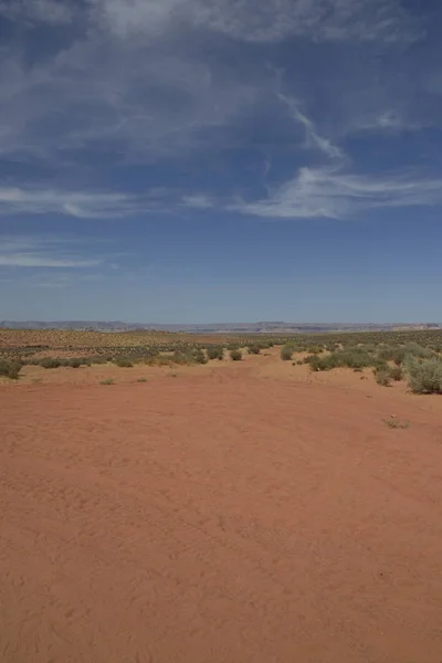 Caminando Desierto Arizona — Foto de Stock