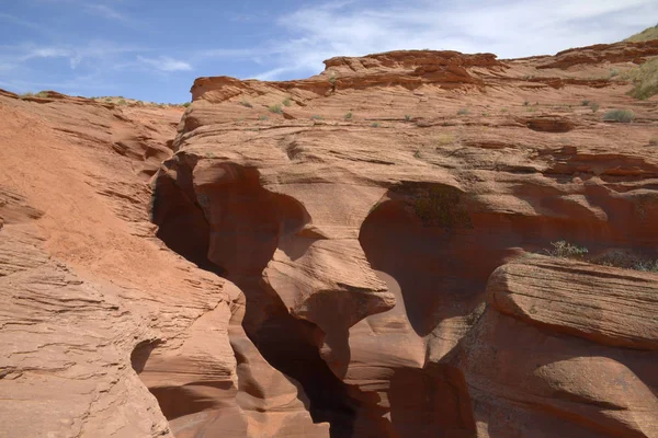 Arizona çölünde yürümek