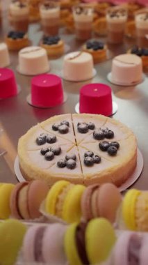 Lezzetli yaban mersinli ve pudra şekerli cheesecake. Etrafı renkli Fransız kurabiyeleriyle çevrili. Tatlı masası, tatlı hamur işleri ve kremalı pasta..