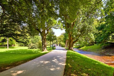 Yaz parkında yol
