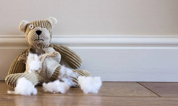 Üzgün ve yalnız çocuğun oyuncak ayı yalnız bir sökük ve yırtık karın ve beyaz doldurma etrafında döşeme ile soğuk bir yere oturmak.