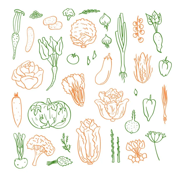 Vektor Hand gezeichnet Doodle Gemüse Icons Set Illustration — Stockvektor