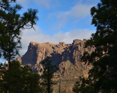Çamlar, La Plata, Gran Canaria, Kanarya Adaları arasında kayalık oluşumlar