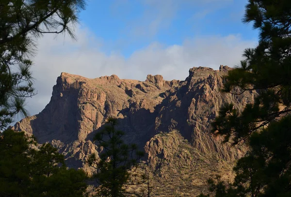 Horská Krajina Borovice Skalnaté Útvary Plata Gran Canaria Španělsko — Stock fotografie