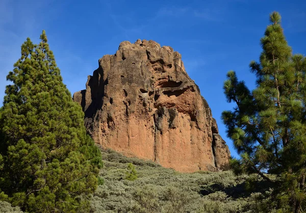 Roque Saucillo Mezi Borovicemi Modrým Nebem Valsequillo Gran Canaria — Stock fotografie