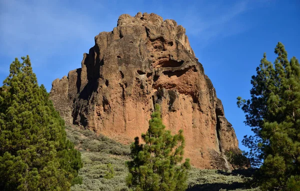 Roque Saucillo Pinos Cielo Azul Gran Canaria Islas Canarias —  Fotos de Stock