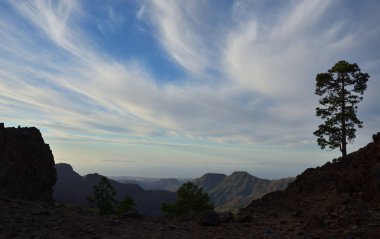 Şafakvakti yalnız çam ve bulutlu gökyüzü ile Dağ manzara, Pilancones, Gran Canaria