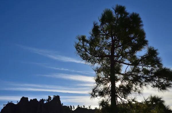 Napkelte Hegyről Pilancones Természeti Park Gran Canaria Kanári Szigetek — Stock Fotó