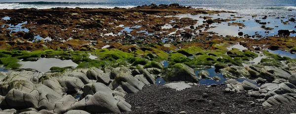 Красочное Скалистое Побережье Лужицами Воды Маленькими Камнями Время Отлива — стоковое фото