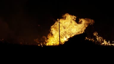 Gece orman yangını. Çim sahada yanan kuru. Sahada saman yakma. Eski çim sahada yanan ateşi,.