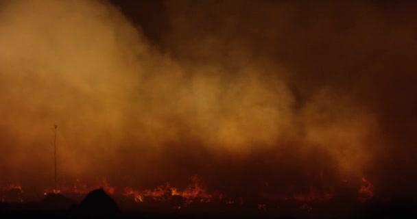 밤의 산 불 불타는 연기 하는 숲. — 비디오