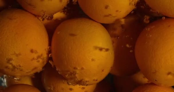 Πορτοκαλί σταγόνες κάτω από το νερό σε μαύρο φόντο. Βαθύ πορτοκαλί φρούτα και πιτσιλιές νερού. Φυσαλίδες αέρα νερού — Αρχείο Βίντεο
