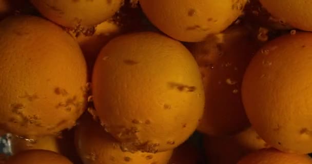 Orange Tropfen unter Wasser auf schwarzem Hintergrund. frische Orangenfrüchte tauchen ein und spritzen Wasser. Wasserluftblasen — Stockvideo