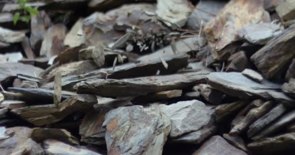 Primer plano de las piedras grises que caen de las rocas de montaña en cámara lenta — Vídeos de Stock