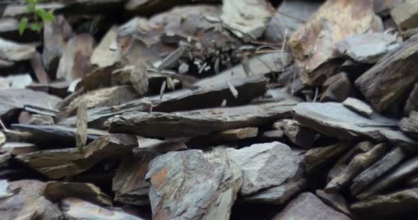 Gros plan de pierres grises tombant des rochers de montagne au ralenti — Video