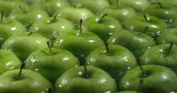 Maçãs verdes frescas a serem lavadas com água. Lavagem de frutas . — Vídeo de Stock