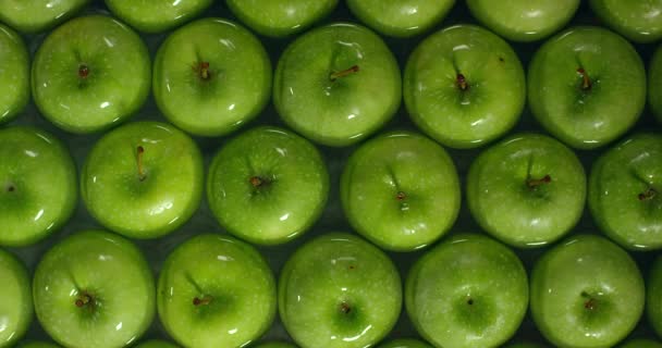 Färska gröna äpplen spolas med vatten. Tvätta frukt. — Stockvideo