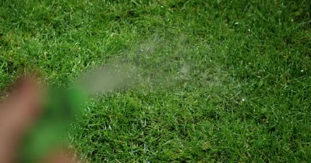 A zöld fű öntözése. Ásványvíz, permetezés a vízpermettel oltó berendezés a zöld gyepen. Nyári kert. — Stock videók