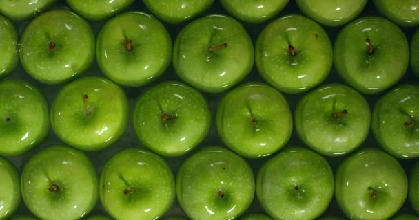 Mooie groene appel in water achtergrond. — Stockvideo