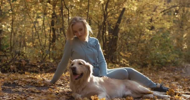 Joven hembra jugando con labrador golden retriever perro en parque, cámara lenta — Vídeo de stock