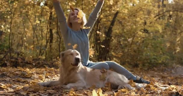 Young woman with her dog retriever tossing up leaves in autumn forest park — Stock Video