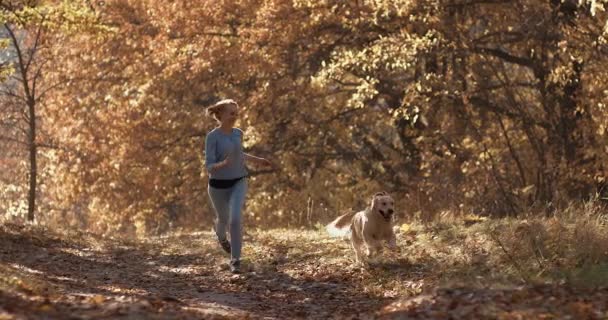 Ung Kvinna Slow Leker Med Labrador Golden Retriever Hund Parken — Stockvideo