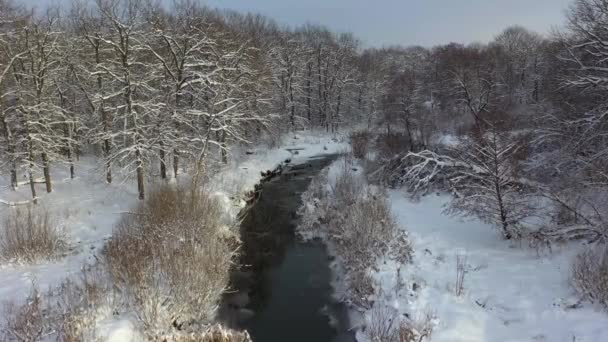 Tembakan udara dari sungai beku, musim dingin — Stok Video