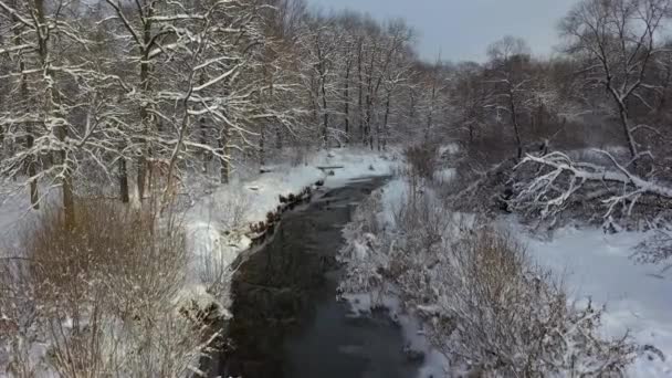 Luchtfoto van de bevroren rivier, winter — Stockvideo