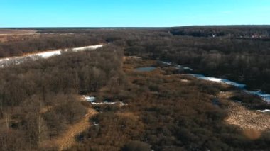 Sonbahar aylarında kahverengi renklerde orman ve göl havadan drone Panoraması. Rus kırsal