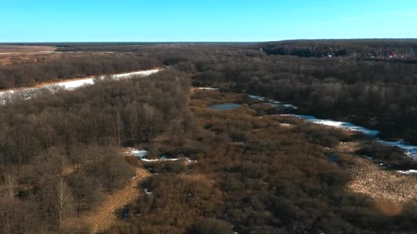 Antena Drone Panorama lasu i jeziora w brązowych kolorach jesienią. Rosyjska wieś — Wideo stockowe