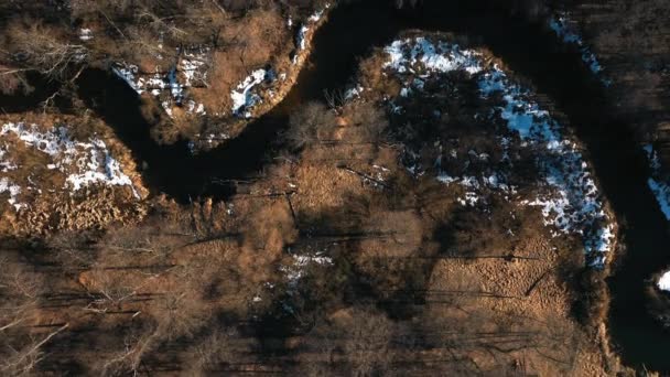 Aerial drone shot of brown tree forests landscape in Autumn with river. Russia — Stock Video