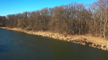 Nehir ile sonbahar içinde kahverengi ağaç ormanları manzara hava drone vurdu. Rusya