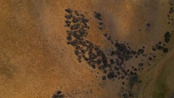 Luchtfoto bovenaanzicht van Pampas landschap in Patagonië, Argentinië, Zuid-Amerika — Stockvideo