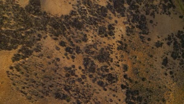 Vista aérea superior da paisagem Pampas na Patagônia, Argentina, América do Sul — Vídeo de Stock