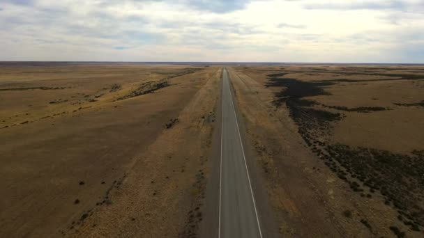 Patagonya, Arjantin Pampas içinde bozkır peyzaj yolun hava drone görünümü. — Stok video